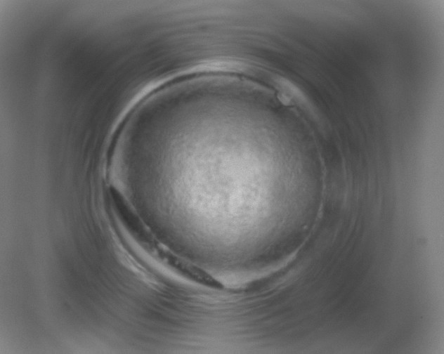 X0000083071276200702021245
