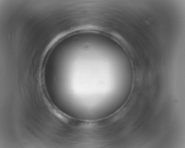 X0000083071278200702021245