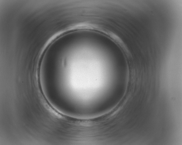 X0000083071288200702021245
