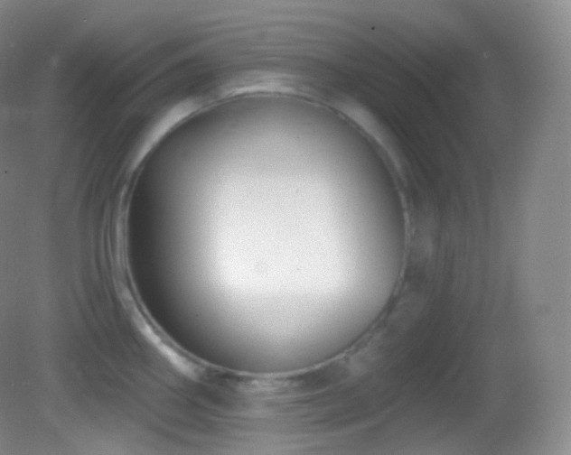 X0000083071290200702021245