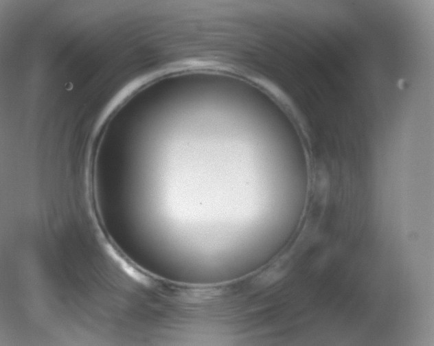 X0000083071294200702021245
