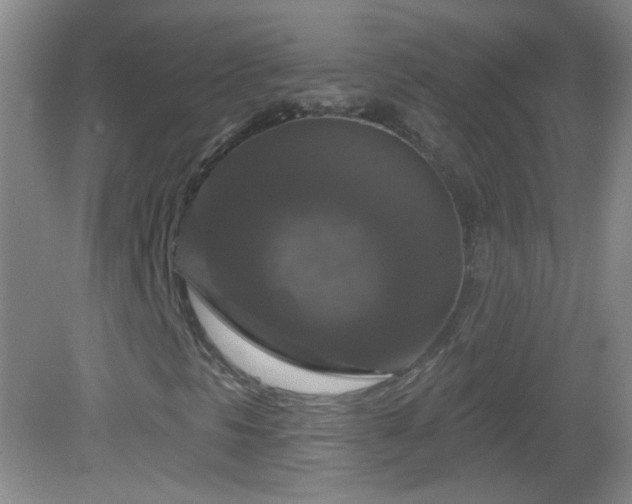 X0000083071297200702021244