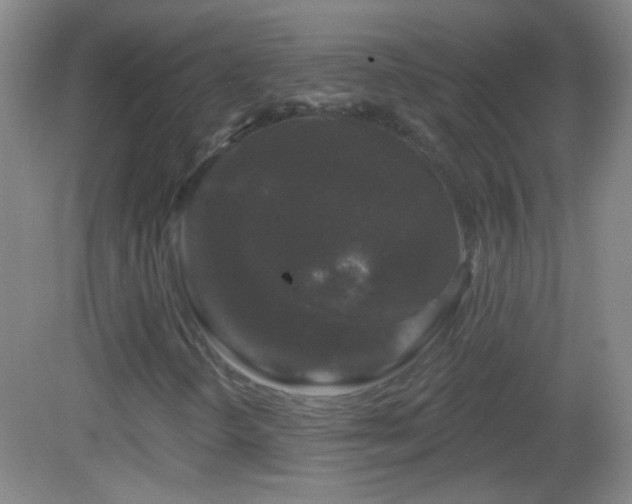 X0000083071298200702021244