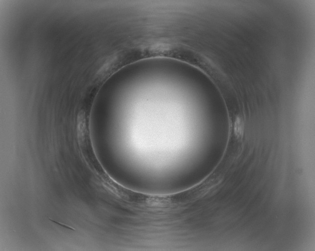 X0000083071299200702021244