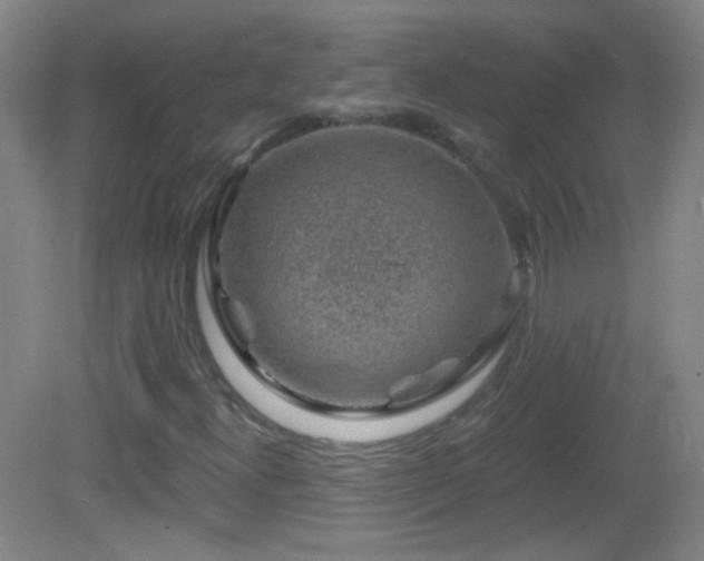 X0000083071300200702021244