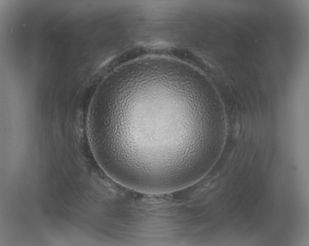X0000083071301200702021244