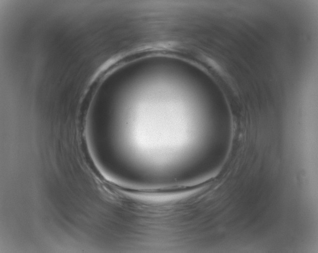 X0000083071308200702021244
