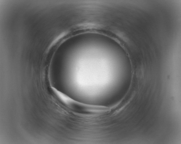X0000083071309200702021244