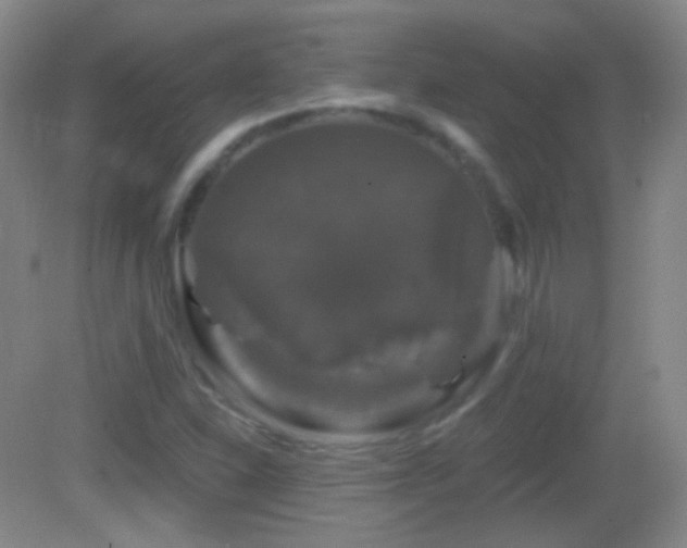 X0000083071310200702021244