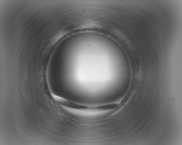 X0000083071313200702021244