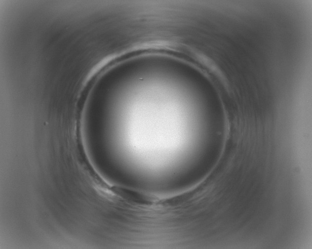 X0000083071316200702021244