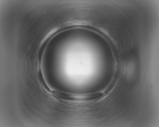 X0000083071317200702021244