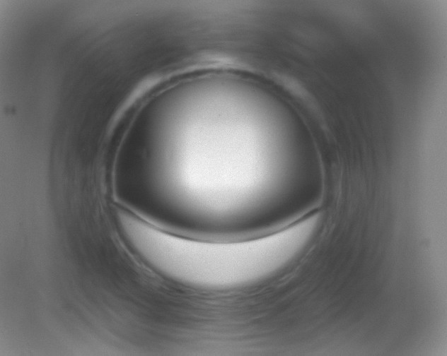 X0000083071318200702021245