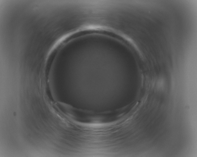 X0000083071319200702021245