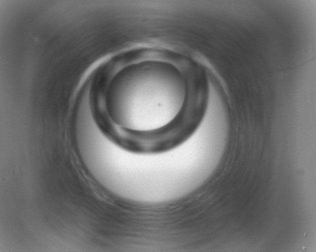 X0000083071320200702021245