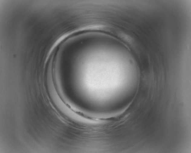 X0000083071324200702021245