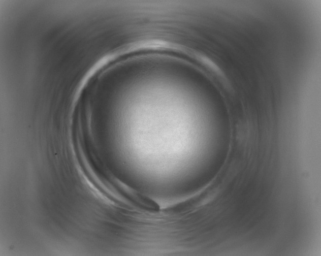 X0000083071326200702021245