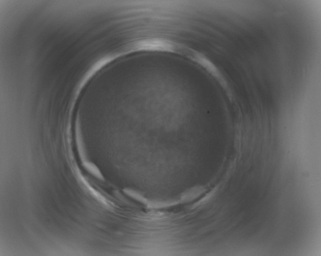 X0000083071331200702021245