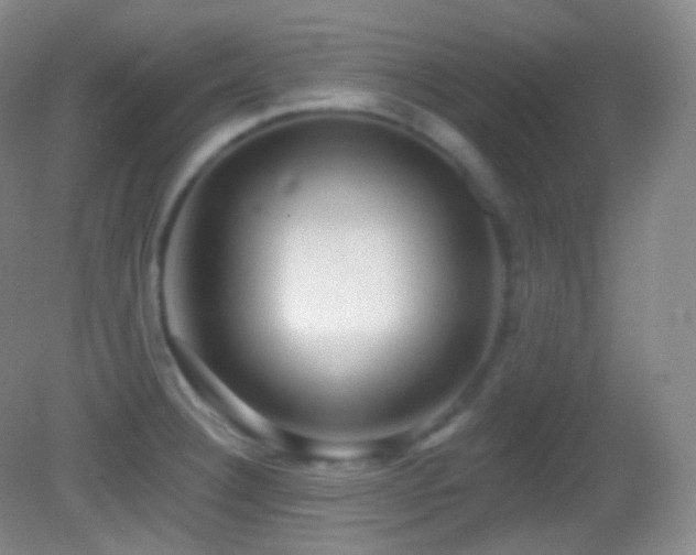 X0000083071332200702021245