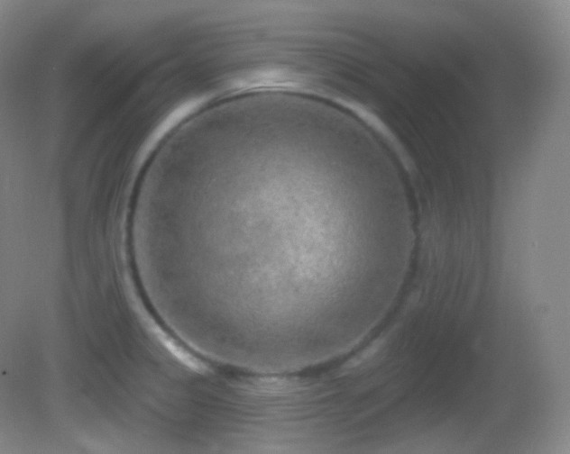 X0000083071333200702021245