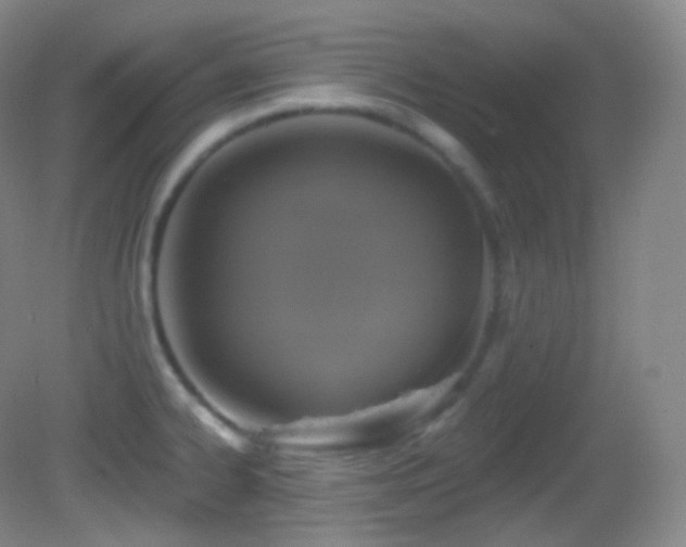 X0000083071334200702021245