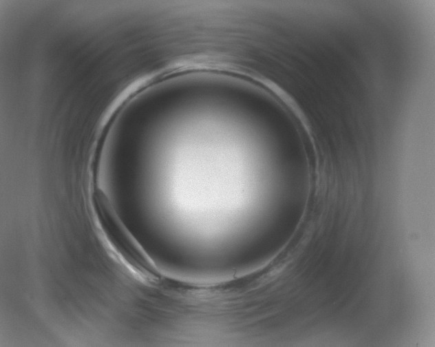 X0000083071341200702021245
