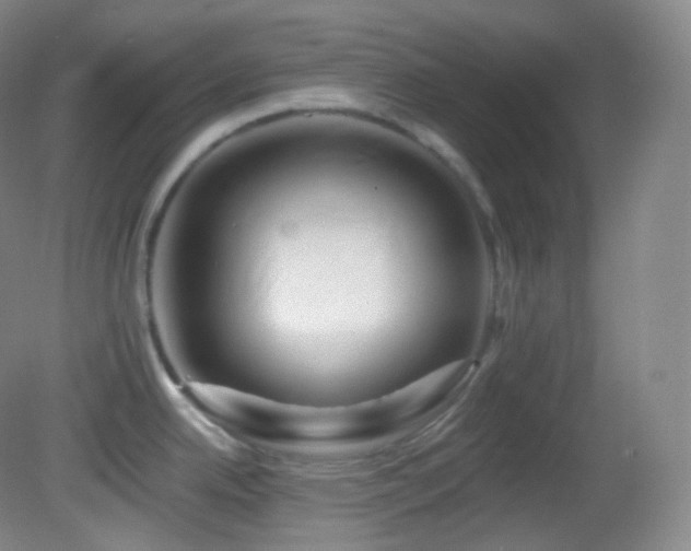 X0000083071342200702021245