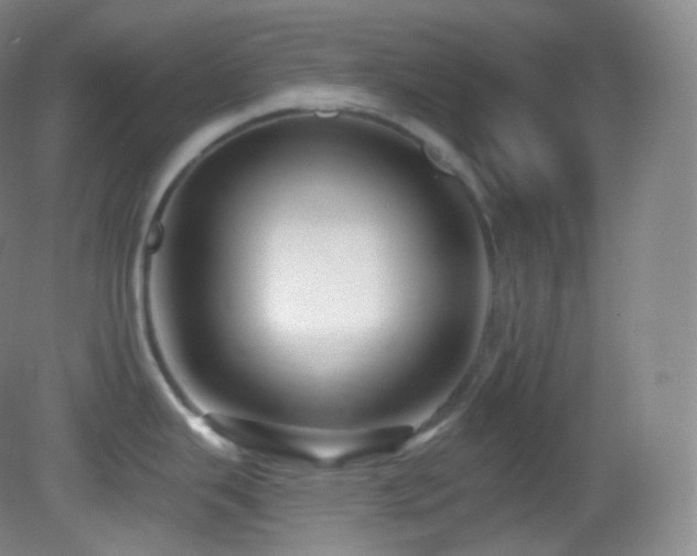 X0000083071343200702021245