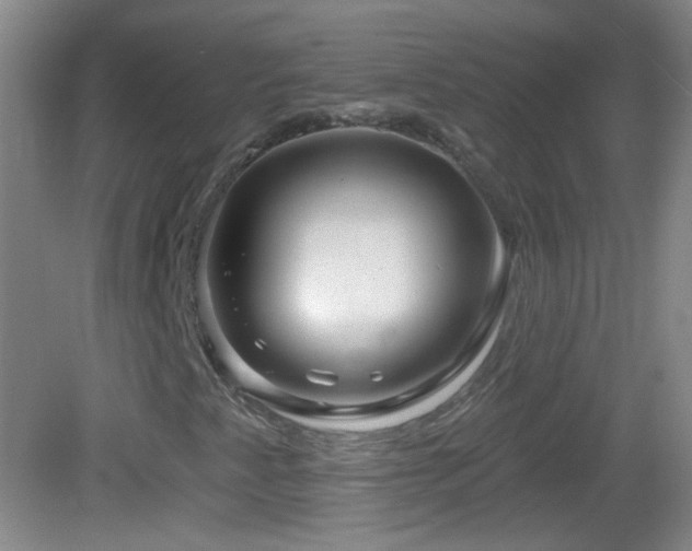 X0000083071345200702021244