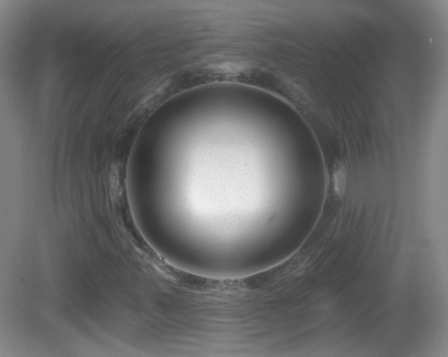 X0000083071347200702021244