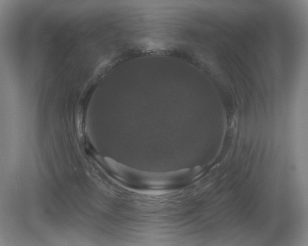 X0000083071348200702021244