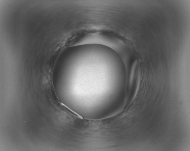 X0000083071349200702021244