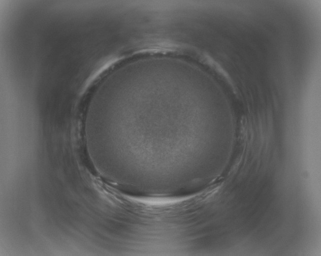 X0000083071352200702021244