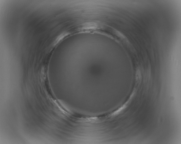 X0000083071353200702021244