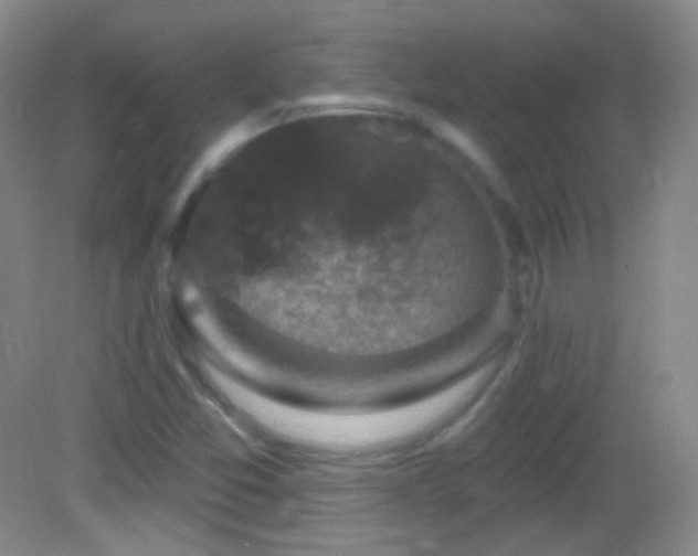 X0000083071357200702021244
