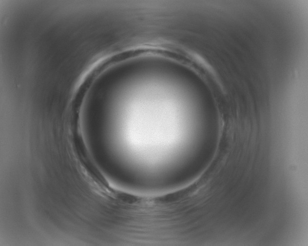 X0000083071360200702021244