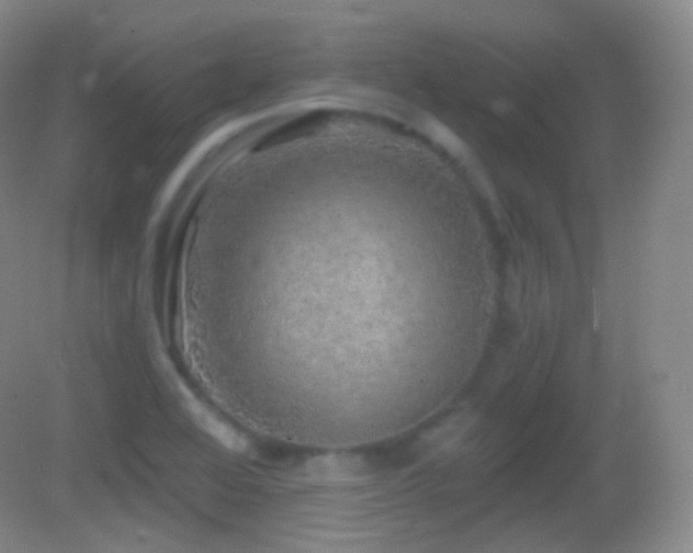 X0000083071368200702021244