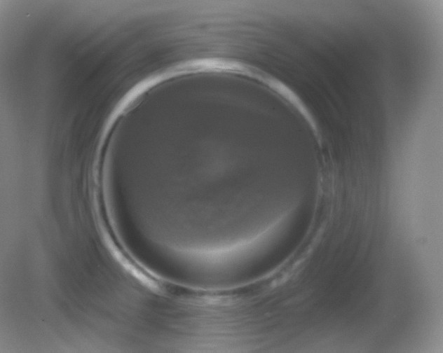 X0000083071381200702021244