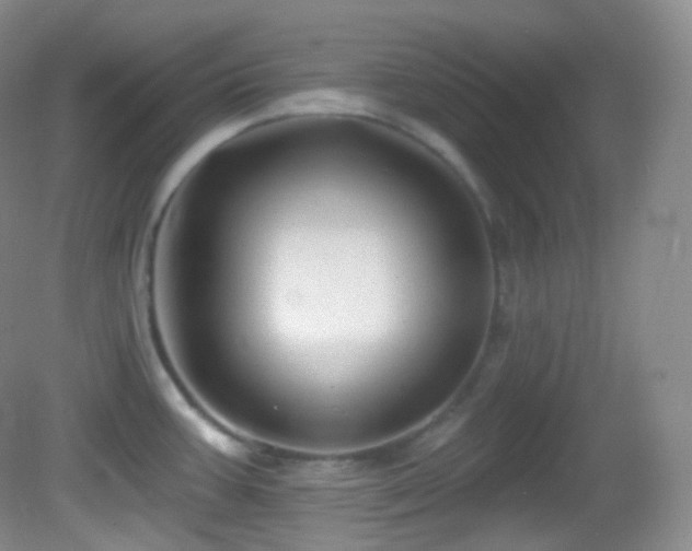 X0000083071387200702021243