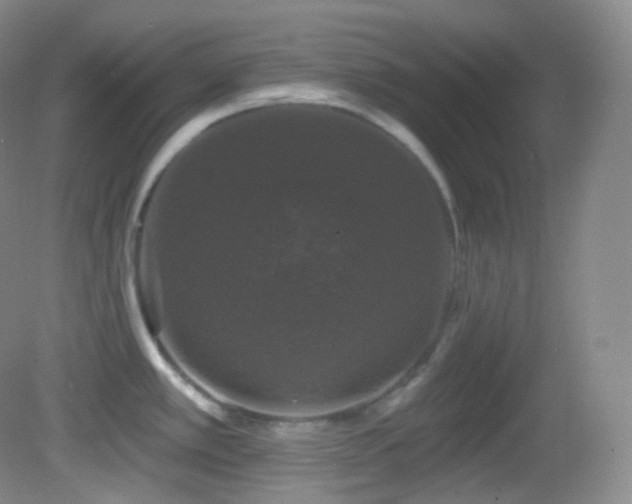 X0000083071389200702021243
