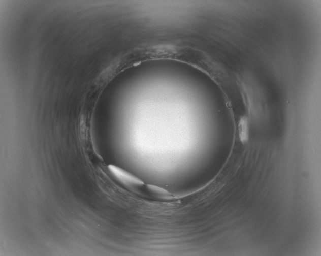 X0000083071395200702021243