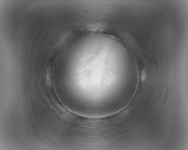 X0000083071396200702021243