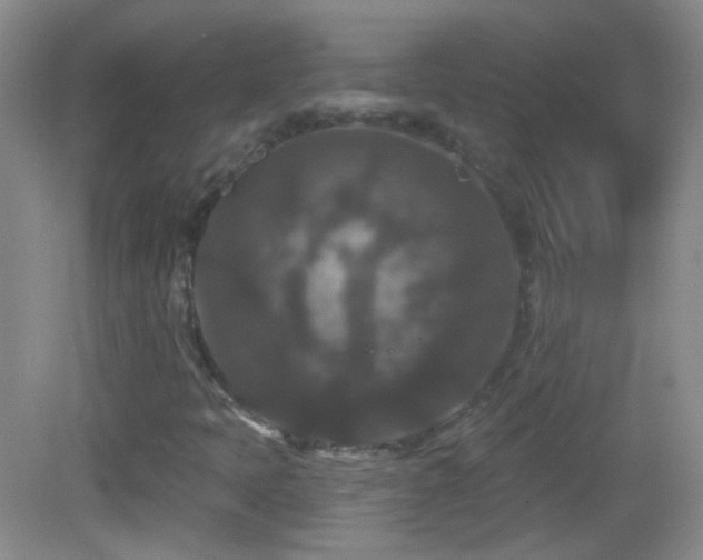 X0000083071397200702021243