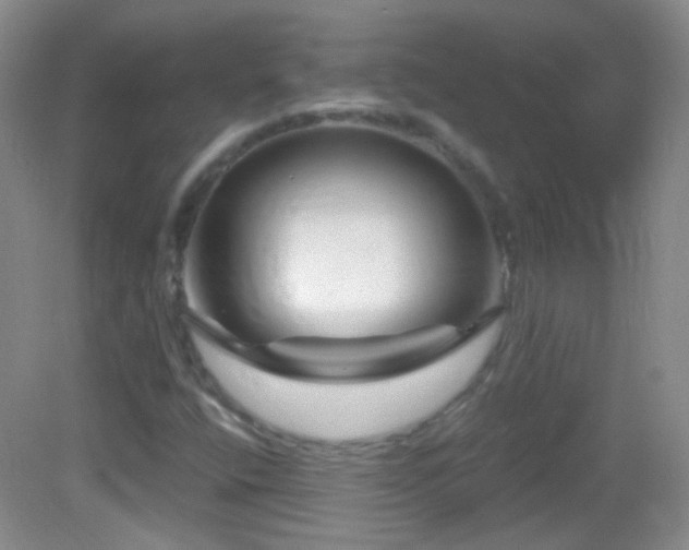 X0000083071400200702021243