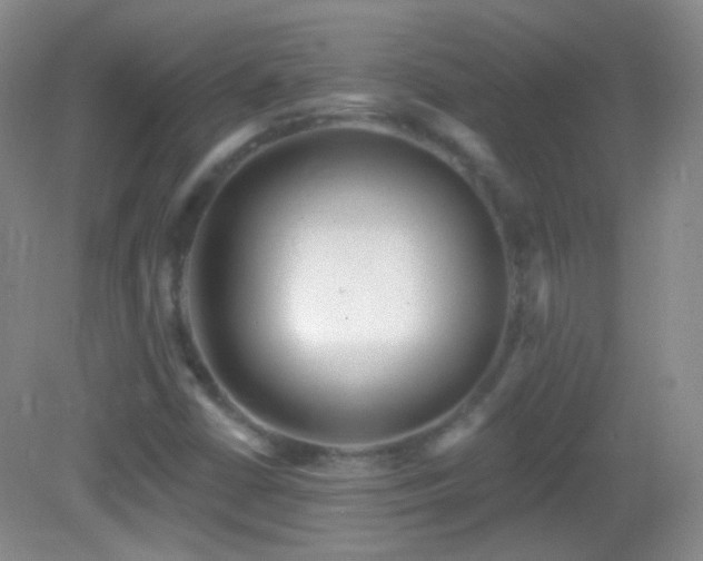X0000083071402200702021243