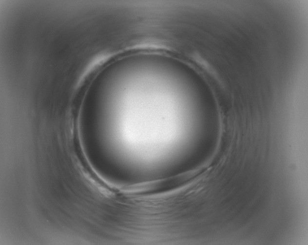 X0000083071408200702021243