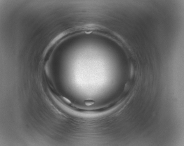 X0000083071410200702021243