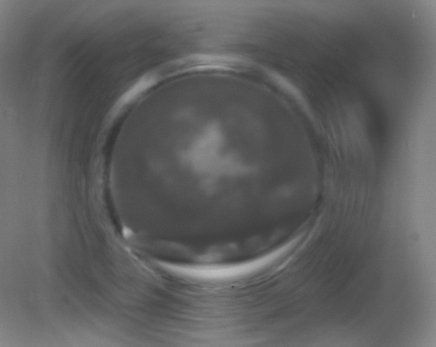 X0000083071411200702021243