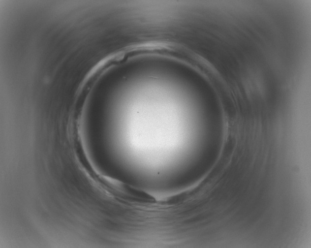 X0000083071412200702021243