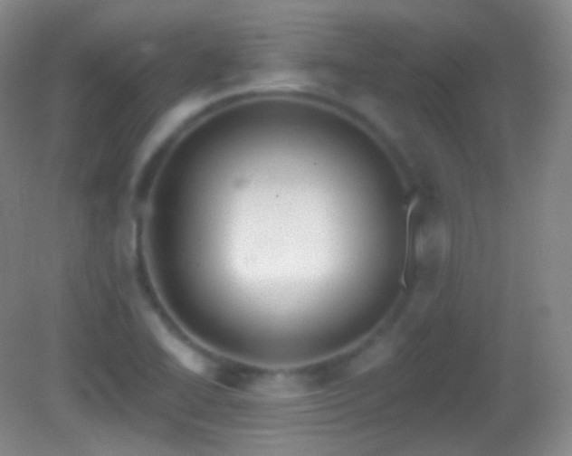 X0000083071414200702021243